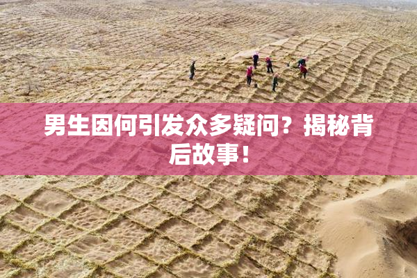 男生因何引发众多疑问？揭秘背后故事！