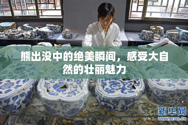 熊出没中的绝美瞬间，感受大自然的壮丽魅力