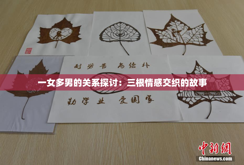 一女多男的关系探讨：三根情感交织的故事