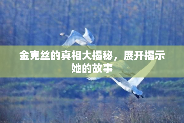 金克丝的真相大揭秘，展开揭示她的故事