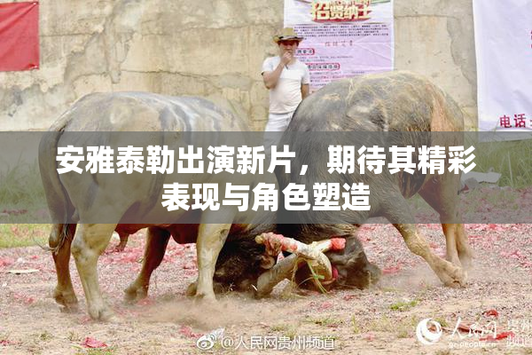 安雅泰勒出演新片，期待其精彩表现与角色塑造