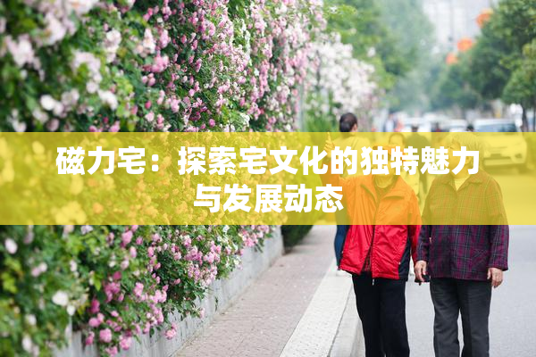 磁力宅：探索宅文化的独特魅力与发展动态