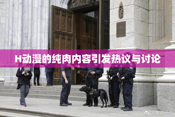 H动漫的纯肉内容引发热议与讨论