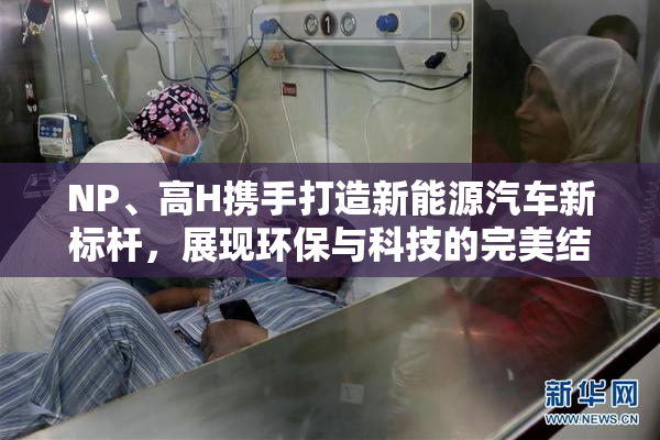 NP、高H携手打造新能源汽车新标杆，展现环保与科技的完美结合。