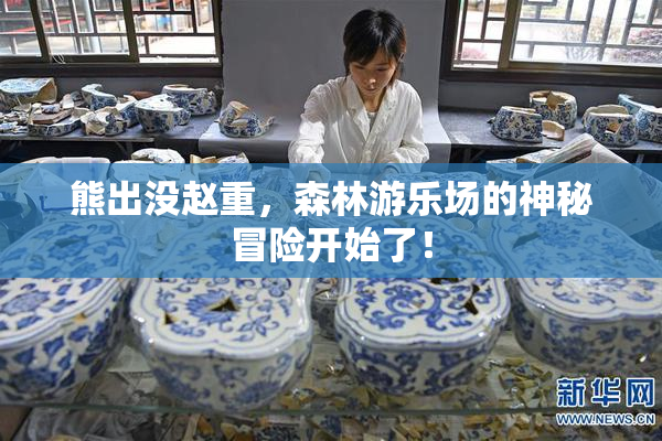 熊出没赵重，森林游乐场的神秘冒险开始了！