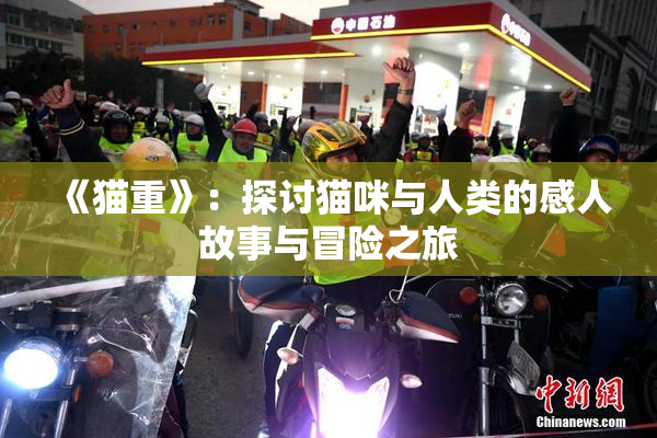 《猫重》：探讨猫咪与人类的感人故事与冒险之旅