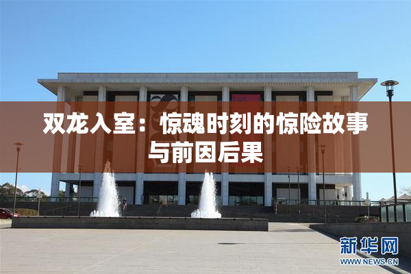 双龙入室：惊魂时刻的惊险故事与前因后果