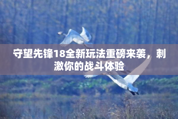 守望先锋18全新玩法重磅来袭，刺激你的战斗体验