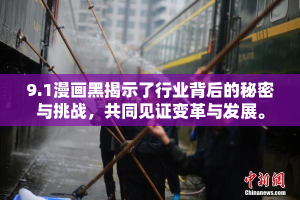 9.1漫画黑揭示了行业背后的秘密与挑战，共同见证变革与发展。