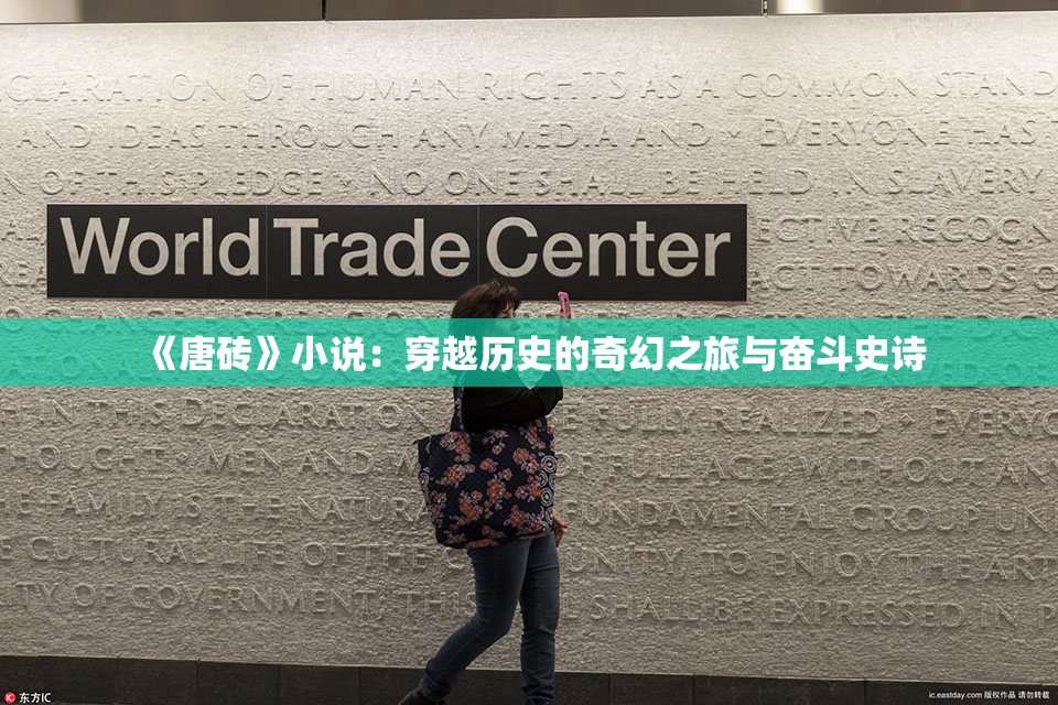 《唐砖》小说：穿越历史的奇幻之旅与奋斗史诗