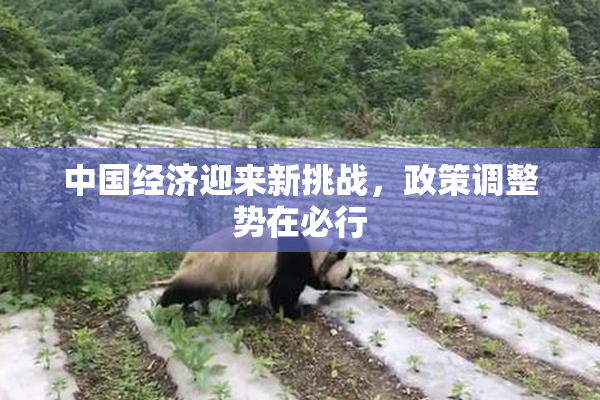 中国经济迎来新挑战，政策调整势在必行