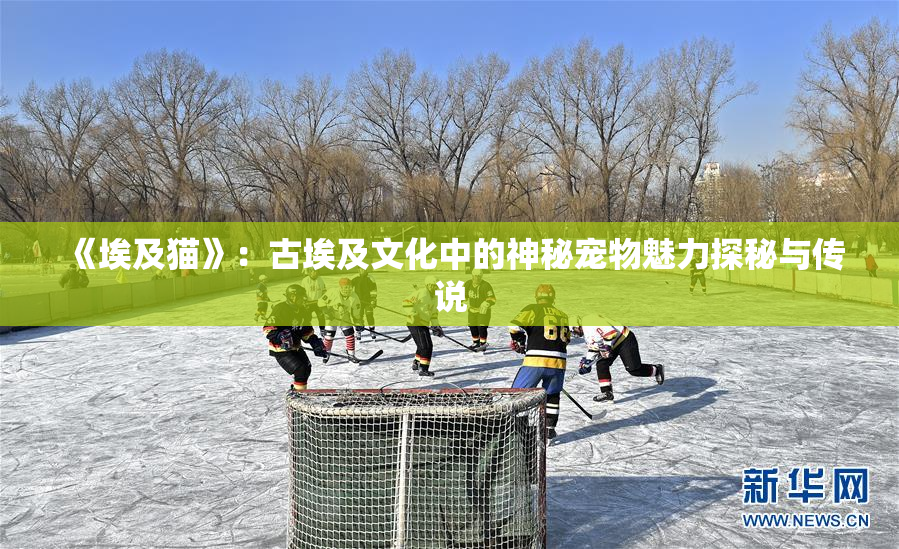 《埃及猫》：古埃及文化中的神秘宠物魅力探秘与传说