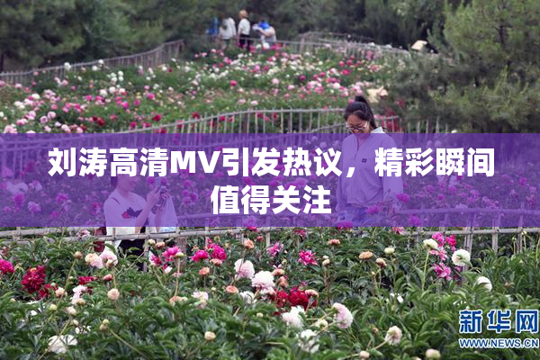 刘涛高清MV引发热议，精彩瞬间值得关注