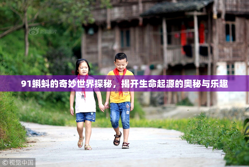 91蝌蚪的奇妙世界探秘，揭开生命起源的奥秘与乐趣