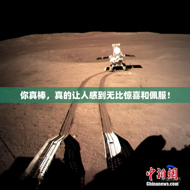 你真棒，真的让人感到无比惊喜和佩服！