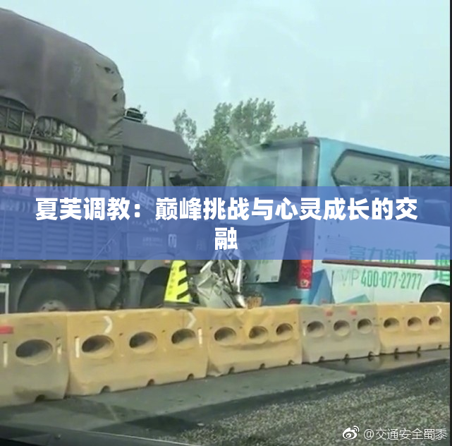 夏芙调教：巅峰挑战与心灵成长的交融