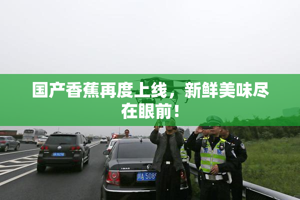 国产香蕉再度上线，新鲜美味尽在眼前！