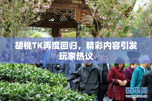胡桃TK再度回归，精彩内容引发玩家热议
