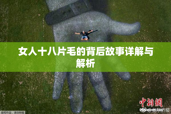 女人十八片毛的背后故事详解与解析