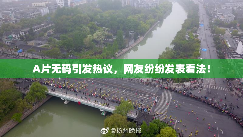A片无码引发热议，网友纷纷发表看法！
