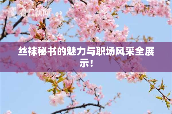丝袜秘书的魅力与职场风采全展示！
