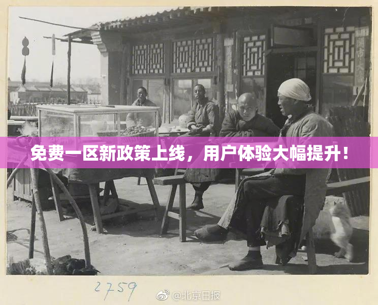 免费一区新政策上线，用户体验大幅提升！