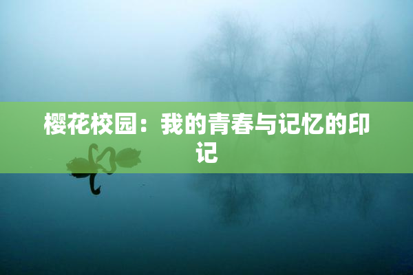 樱花校园：我的青春与记忆的印记