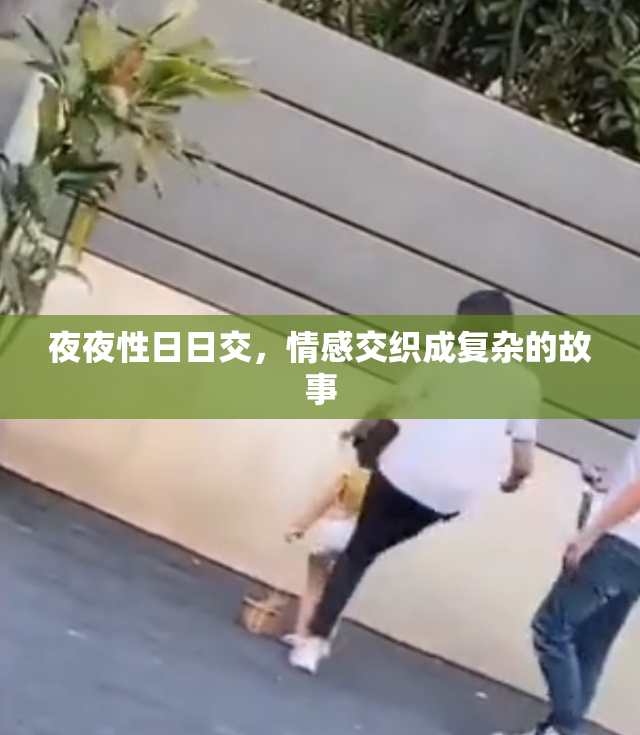 夜夜性日日交，情感交织成复杂的故事