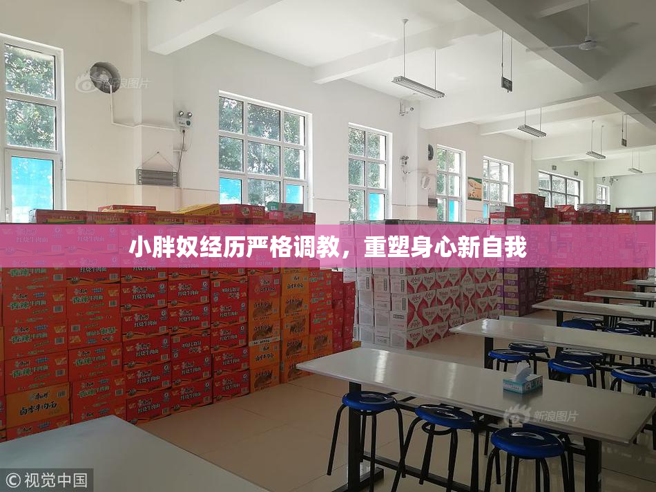 小胖奴经历严格调教，重塑身心新自我
