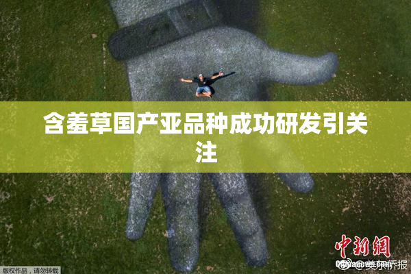 含羞草国产亚品种成功研发引关注