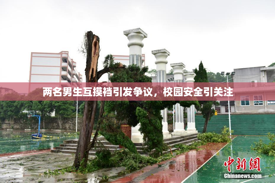 两名男生互摸裆引发争议，校园安全引关注