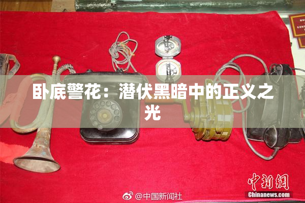 卧底警花：潜伏黑暗中的正义之光
