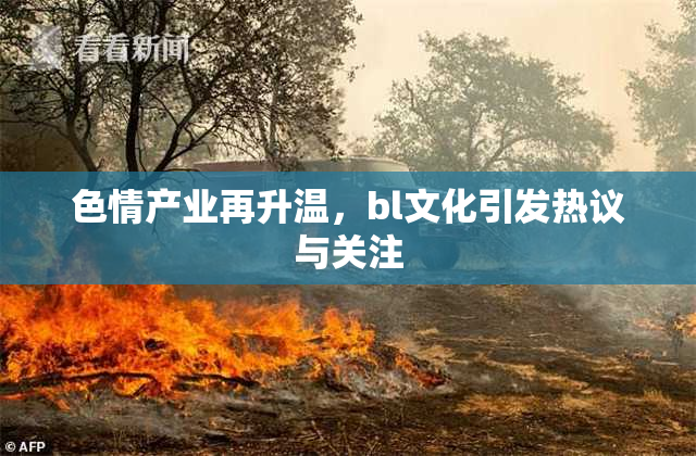 色情产业再升温，bl文化引发热议与关注