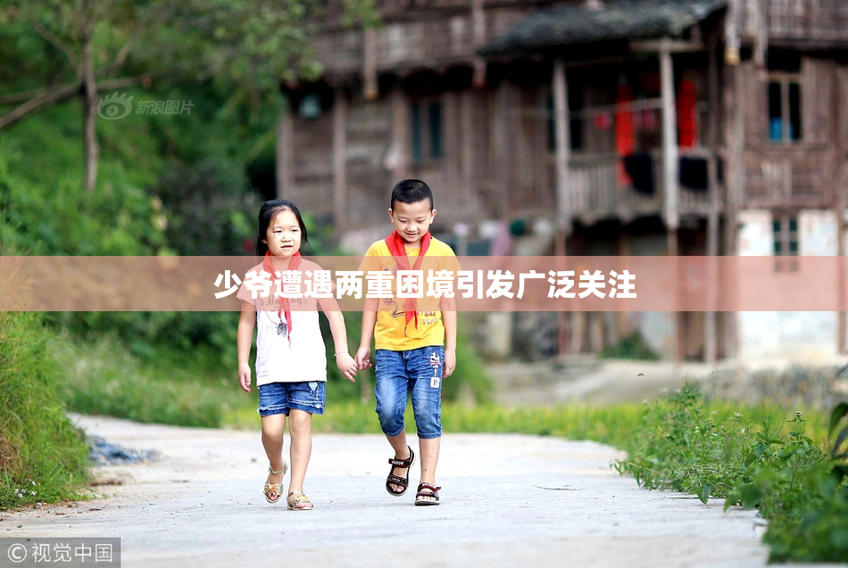 少爷遭遇两重困境引发广泛关注