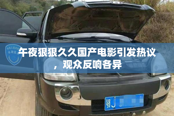 午夜狠狠久久国产电影引发热议，观众反响各异