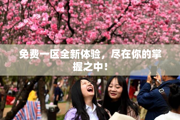 免费一区全新体验，尽在你的掌握之中！