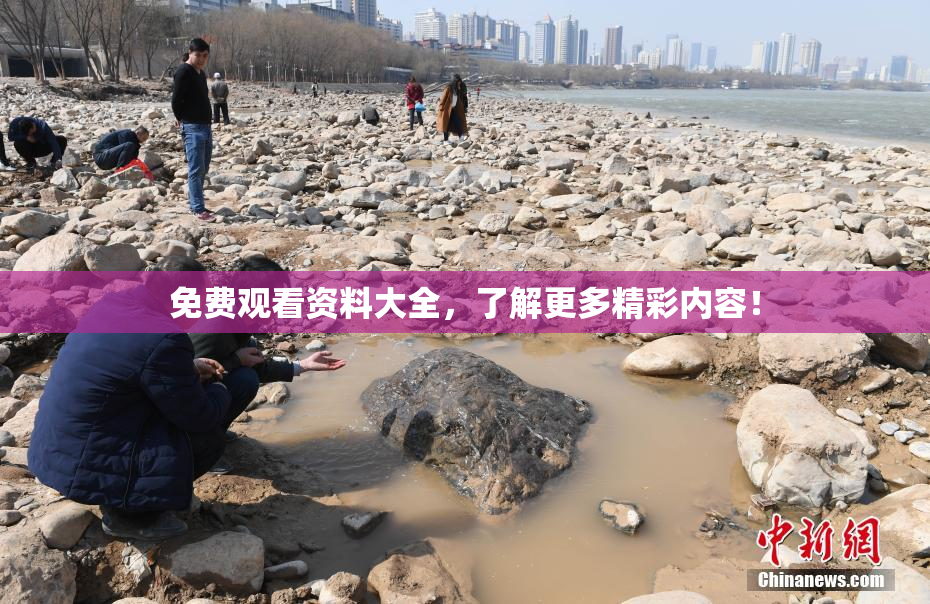 免费观看资料大全，了解更多精彩内容！