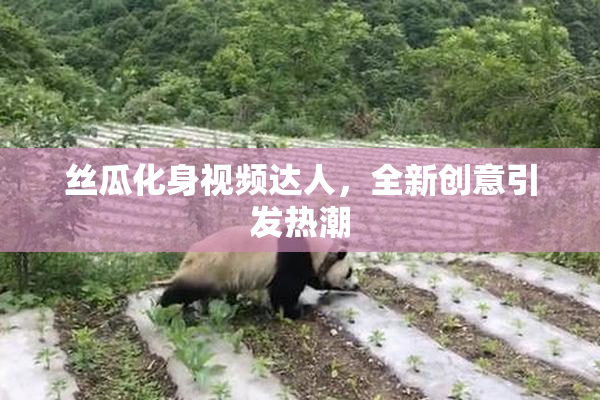 丝瓜化身视频达人，全新创意引发热潮