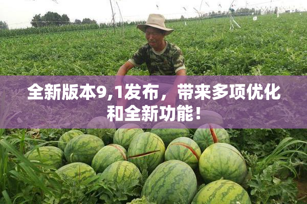 全新版本9,1发布，带来多项优化和全新功能！