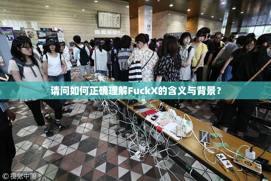请问如何正确理解FuckX的含义与背景？