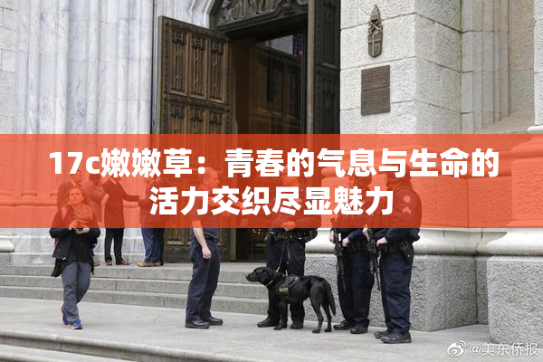 17c嫩嫩草：青春的气息与生命的活力交织尽显魅力