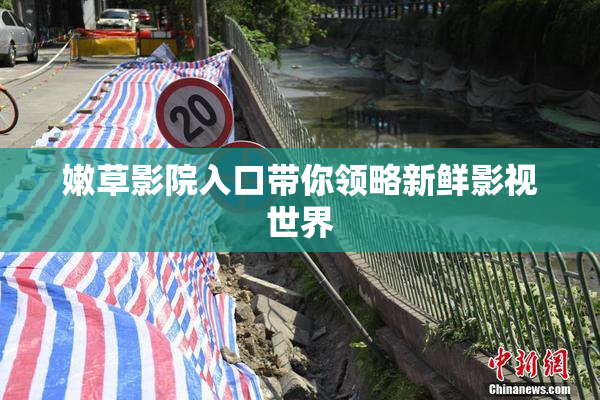 嫩草影院入口带你领略新鲜影视世界