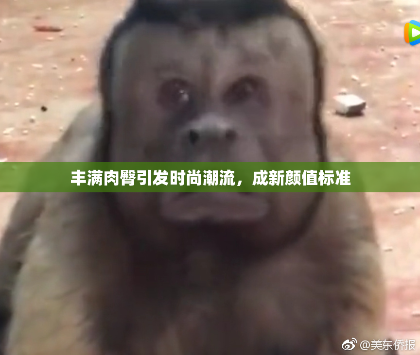 丰满肉臀引发时尚潮流，成新颜值标准