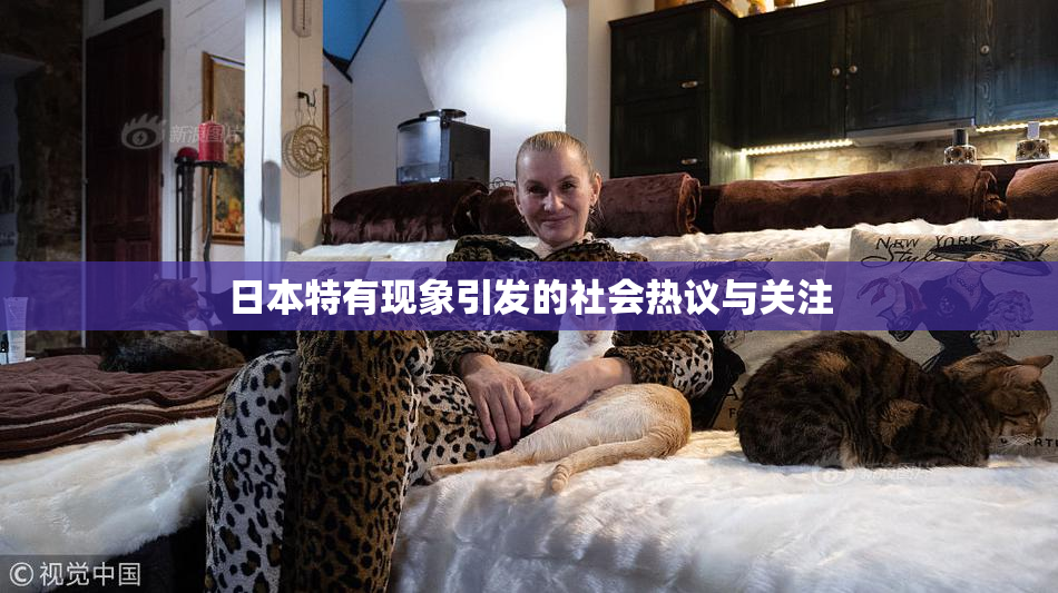 日本特有现象引发的社会热议与关注