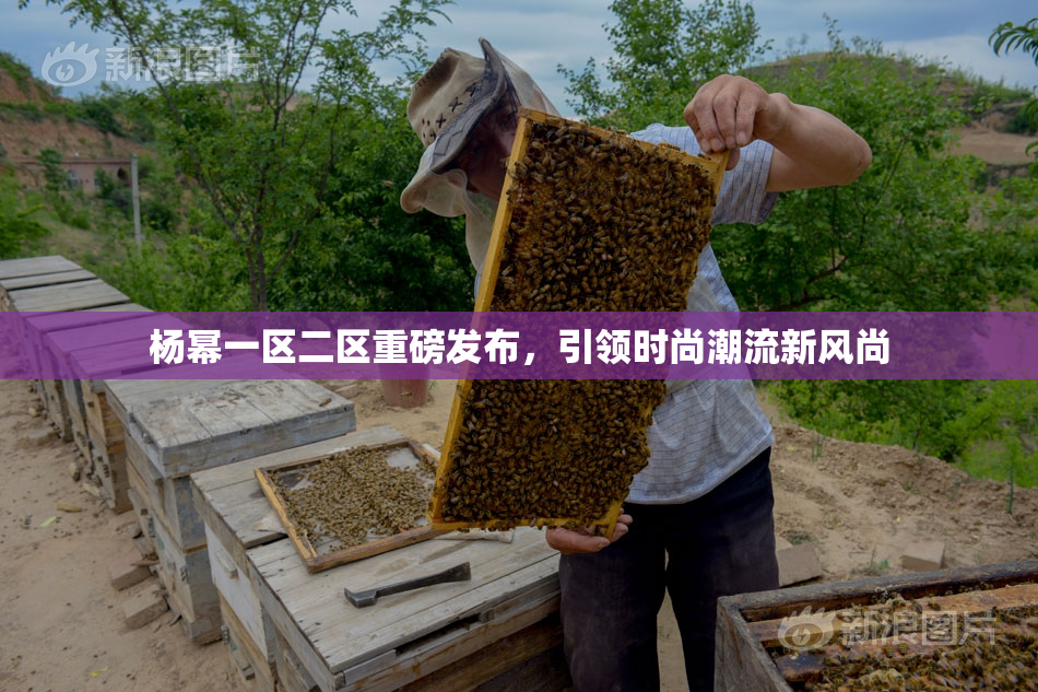 杨幂一区二区重磅发布，引领时尚潮流新风尚