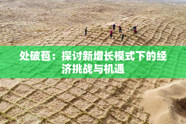 处破苞：探讨新增长模式下的经济挑战与机遇