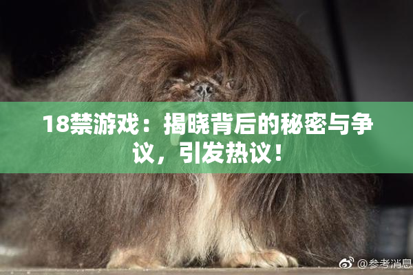 18禁游戏：揭晓背后的秘密与争议，引发热议！