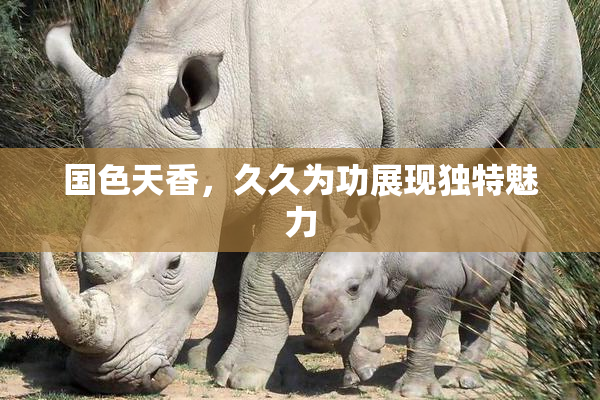 国色天香，久久为功展现独特魅力