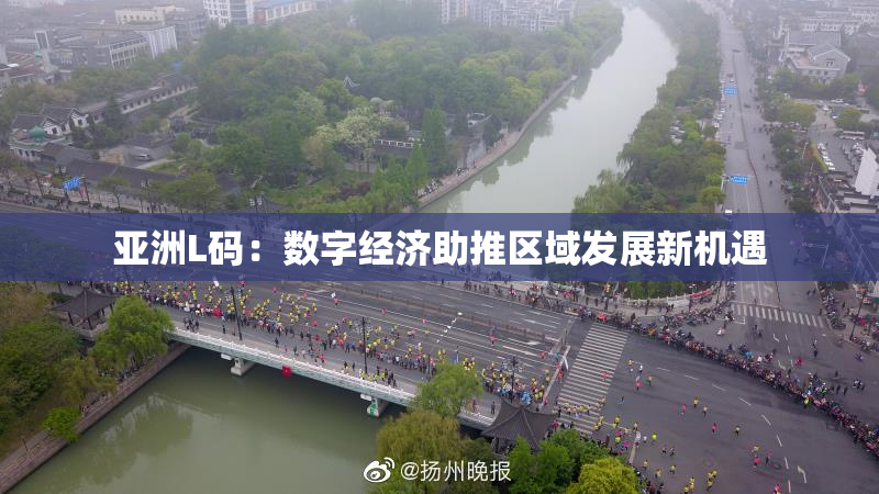 亚洲L码：数字经济助推区域发展新机遇