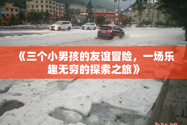《三个小男孩的友谊冒险，一场乐趣无穷的探索之旅》